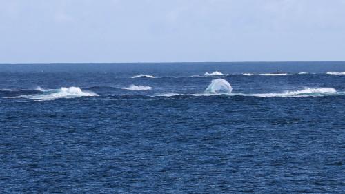 Spitzbergenreise-2018-106
