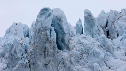 Spitzbergenreise-2018-177