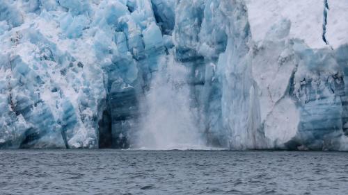 Spitzbergenreise-2018-178