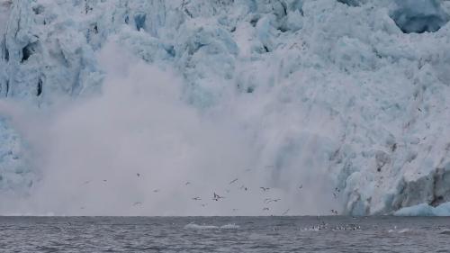 Spitzbergenreise-2018-181