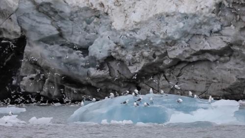 Spitzbergenreise-2018-182