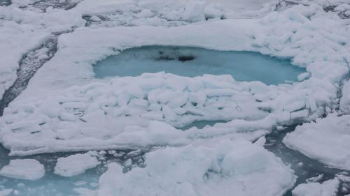 Spitzbergenreise-2018-190