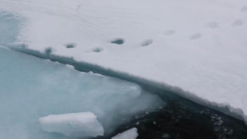 Spitzbergenreise-2018-196