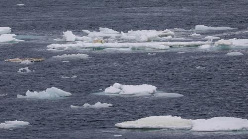 Spitzbergenreise-2018-198