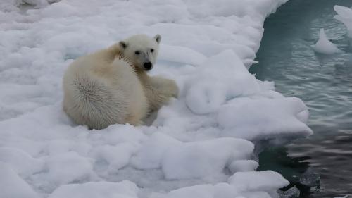 Spitzbergenreise-2018-200