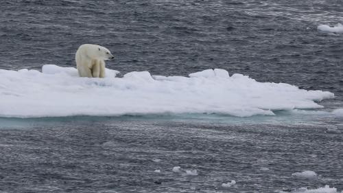 Spitzbergenreise-2018-202