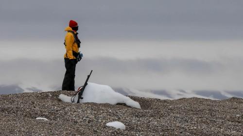 Spitzbergenreise-2018-206