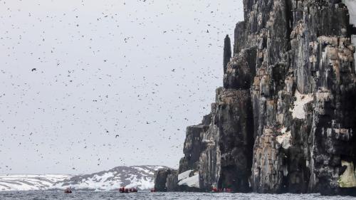 Spitzbergenreise-2018-209