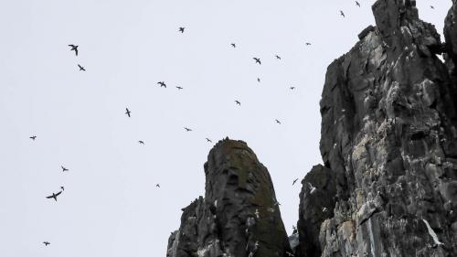 Spitzbergenreise-2018-213