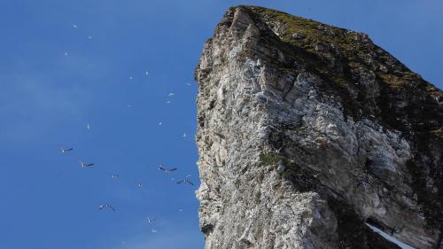 Spitzbergenreise-2018-225