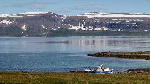 In den Westfjorden