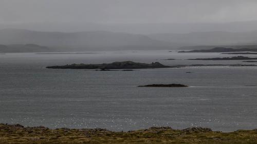 Schwäne im Breiðafjörður