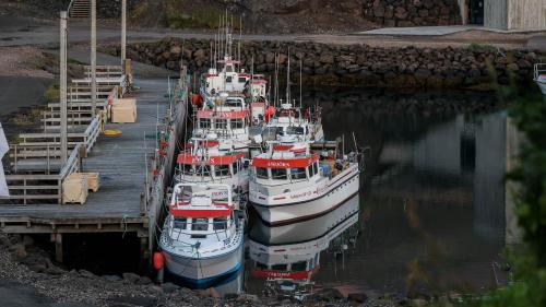 Fischerboote im Hafen von Borgarfjördur