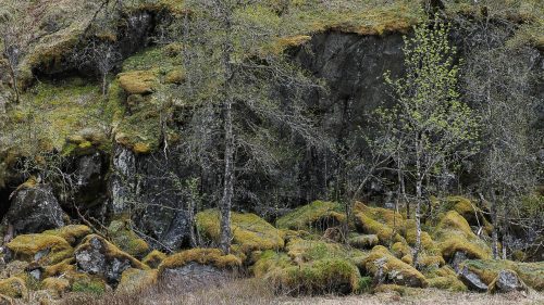 Norwegen-26-011