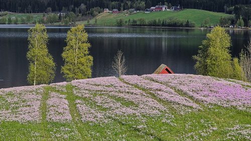 Norwegen-26-015