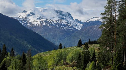 Norwegen-26-029