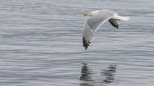 Norwegen-26-055