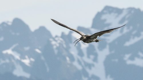 Norwegen-26-177