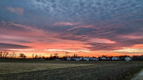 043-1-Maerz-2023